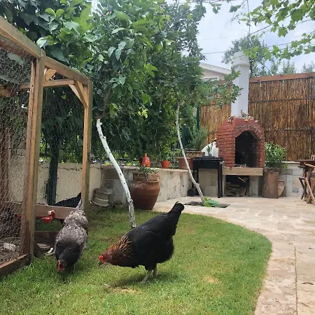 فيلة Kaya Elite & Restful Location